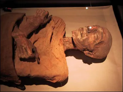 Quelle dynastie égyptienne Ramsès II représente-t-il ?