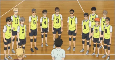 Avant d'aller au stage entraînement de Tokyo, l'équipe de Karasuno a du passer les examens de leur lycée. Qui étaient les quatre désespérés de l'équipe ?