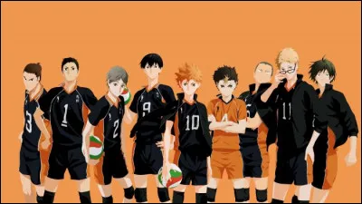 Un seul joueur est plus petit en taille que Hinata Shoyo dans l'équipe du lycée Karasuno. De qui s'agit-il et à quel poste joue-t-il ?