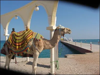 Je suis connue comme étant le pays des pharaons, ma capitale est Le Caire...