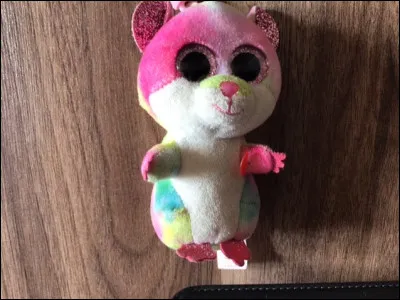 Quel est le nom de ce Beanie Boos ?