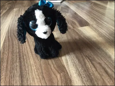 Quel est le nom de ce Beanie Boos ?