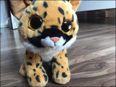 Quel est le nom de ce Beanie Boos ?