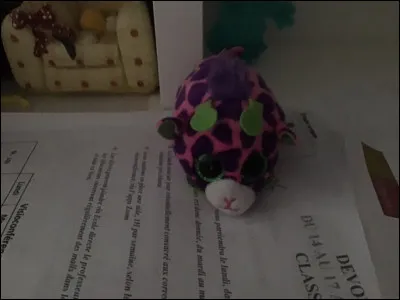 Quel est le nom de ce Beanie Boos ?