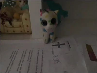 Quel est le nom de ce Beanie Boos ?