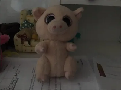 Quel est le nom de ce Beanie Boos ?