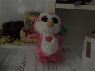 Quel est le nom de ce Beanie Boos ?