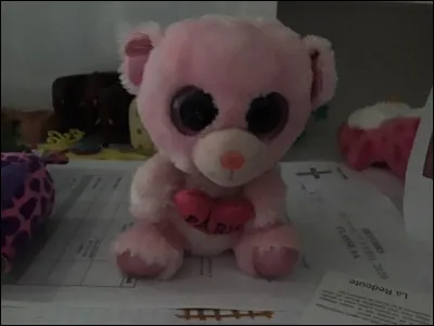 Quel est le nom de ce Beanie Boos ?