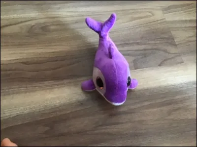 Quel est le nom de ce Beanie Boos ?