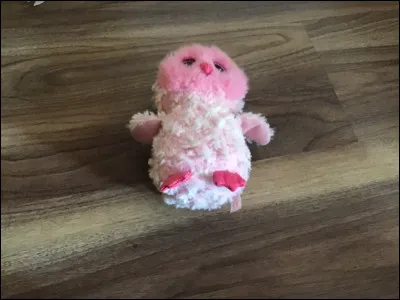 Quel est le nom de ce Beanie Boos ?