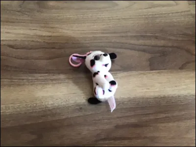 Quel est le nom de ce Beanie Boos ?