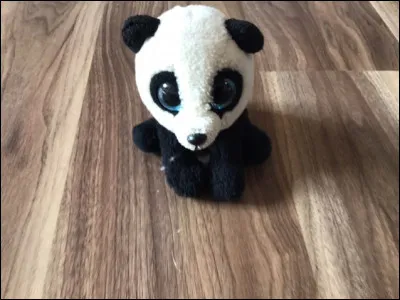 Quel est le nom de ce Beanie Boos ?