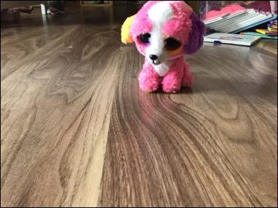 Quel est le nom de ce Beanie Boos ?