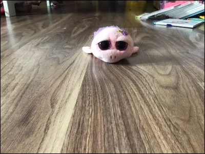 Quel est le nom de ce Beanie Boos ?