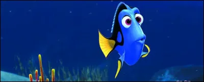 La galère oublie souvent...