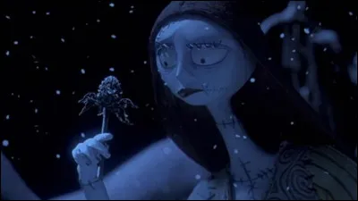 Pourquoi Sally se fait-elle abandonner par son créateur ?