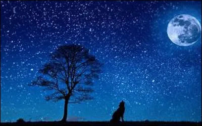 Je n'ai pas dormi de la nuit, c'était un vrai (...)