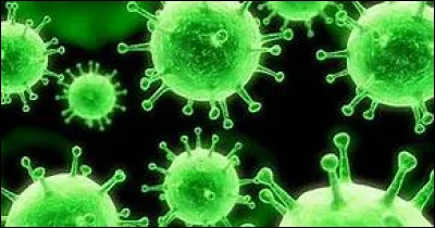 Rhazès a été le premier auteur d'une monographie concernant les symptômes d'une maladie tristement célèbre : laquelle ?