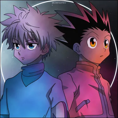 À la fin de l'histoire, quel âge avaient Gon et Kirua ?