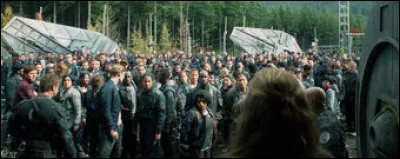 Quel peuple préfères-tu ?