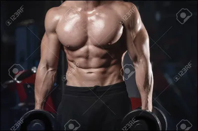 Tibo InShape : combien a-t-il d'abonnés ?