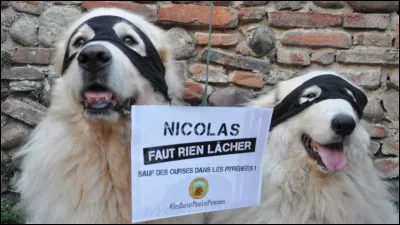 VodK : combien a-t-il d'abonnés ?