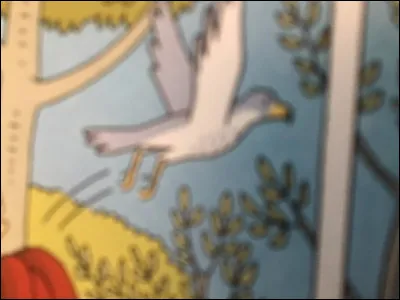 Quel est le nom de cet animal ?