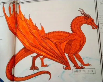 Que voyez-vous quand on vous dit le mot "libert&eacute;" ?