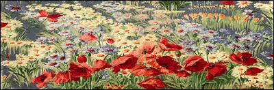 Il aime les étoffes précieuses, noir et or, venues d'Orient, pour en faire tailler le gilet de ses costumes !