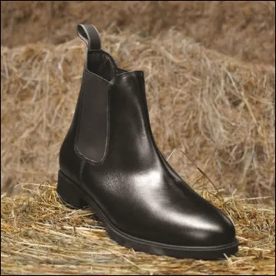 Que voit-on sur l'image ?