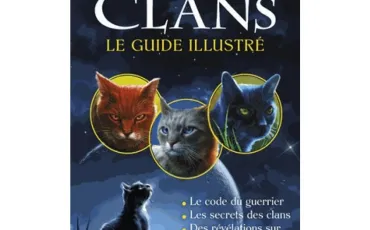 Quiz Guerre