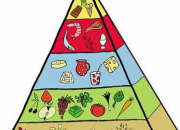 Quiz La pyramide alimentaire