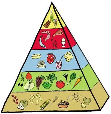 O se place la salade de fruits ?