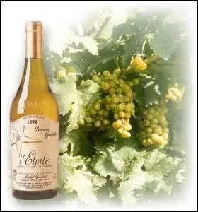 Quel est cet alcool ?