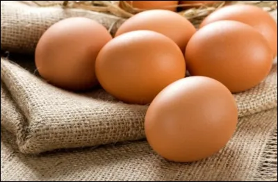 De quoi est principalement composé un œuf ?