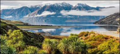La Nouvelle-Zélande foisonne de paysages idylliques en tout genre ; fleuves tumultueux, pics enneigés et lacs paisibles y sont légion. Cet environnement exceptionnel a inspiré plus d'un réalisateur, notamment Peter Jackson. Dans quelle fameuse oeuvre a-t-il tout particulièrement mis à l'honneur la magnificence néo-zélandaise ?