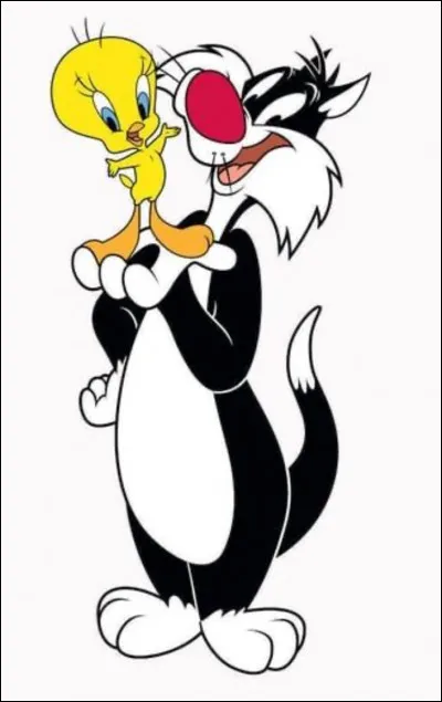 Qui est l'inséparable compagnon de Titi  ?