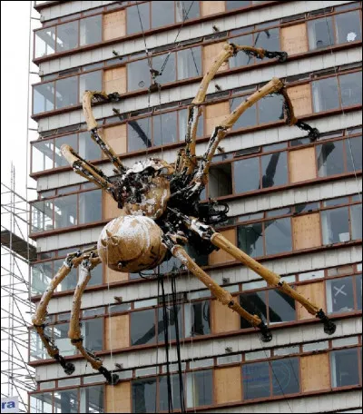 Les araignées n'ont pas le sens de l'ouïe.