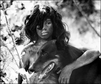 Quel est ce film de Truffaut qui dépeint un enfant sauvage ?