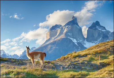 " Dans ce drôle d'élevage où les dindes farcies côtoient les oies sauvages" est un passage de sa chanson "Ailleurs Land". Quel lieu décrivait Florent Pagny avec beaucoup de poésie ?