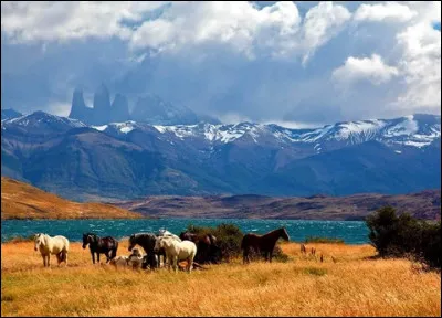 "Tout est neuf et tout est sauvage, libre continent sans grillage..." De qui sont ces paroles qu'il interprétait en duo avec la regrettée Sirima ?