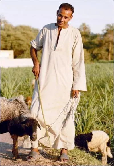 En arabe, qu'est-ce qu'un ''fellah'' ?