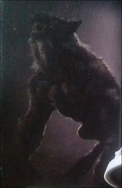 Ce roi d'Arcadie sera transformé en Loup, pour avoir servi de la chair humaine à Zeus lors d'un souper. Qui est-il ?