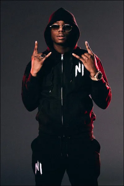 Qui est ce chanteur ?