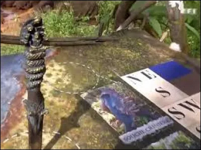 Qui a gagner l'&eacute;preuve de l'orientation ?