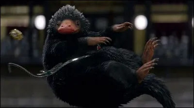 Si tu devais aller à Poudlard, quel animal prendrais-tu avec toi ?