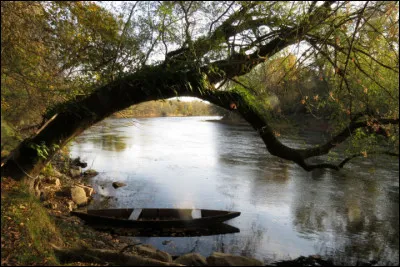 Tu es avec deux amis. Vous êtes coincés sur une île et il y a une barque. Que faites-vous ?