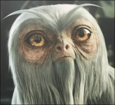 Quel est cet animal fantastique ?
