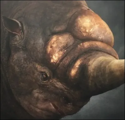 Quel est cet animal fantastique ?