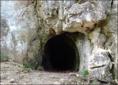 Tu vois par hasard les brigands qui s&eacute;vissent dans la r&eacute;gion rentrer dans une caverne qui est remplie d'or, que fais-tu ?